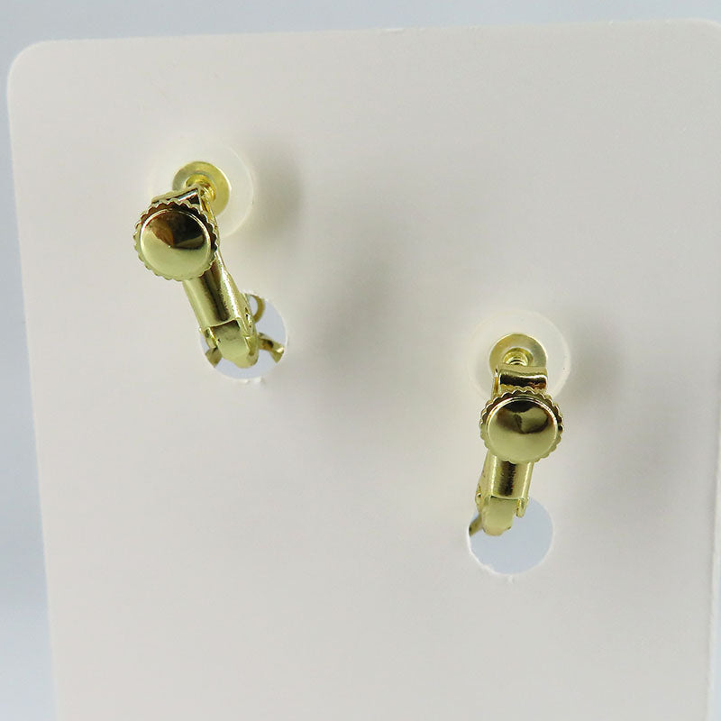 -melon parfait- イヤリング