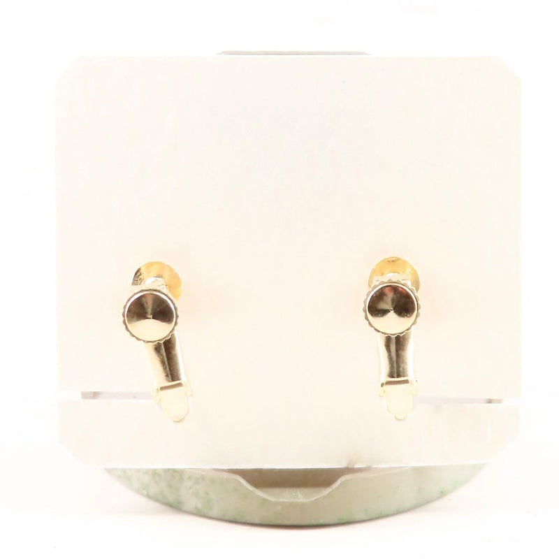 アニマルイヤリング ミニブタ