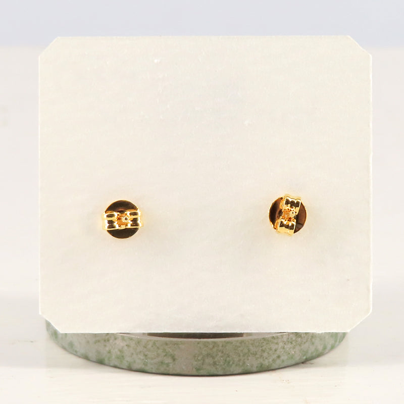 アニマルピアス ハシビロコウ