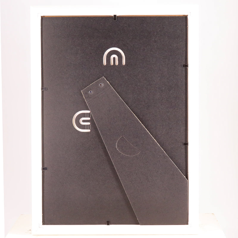 A4サイズアートフレーム ファンキーくるみちゃん